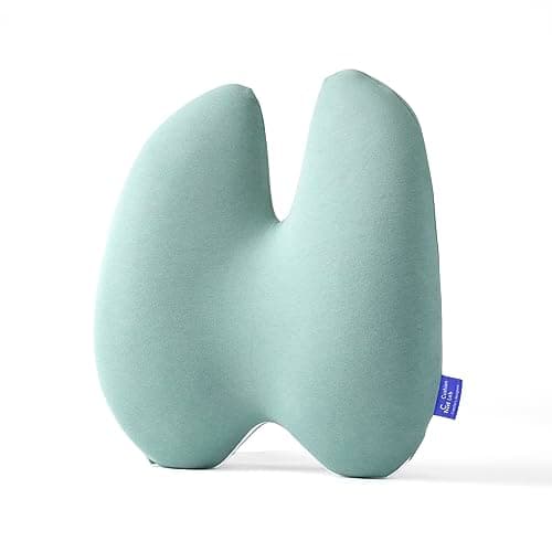 Cushion Lab Extra Dense Lumbar Pillow - Patented Ergonomic Multi-Region Firm Back Support for Lower Back Pain Relief - Lumbar Support Cushion w/Strap for Office Chair, Car, Sofa - Wellness Green