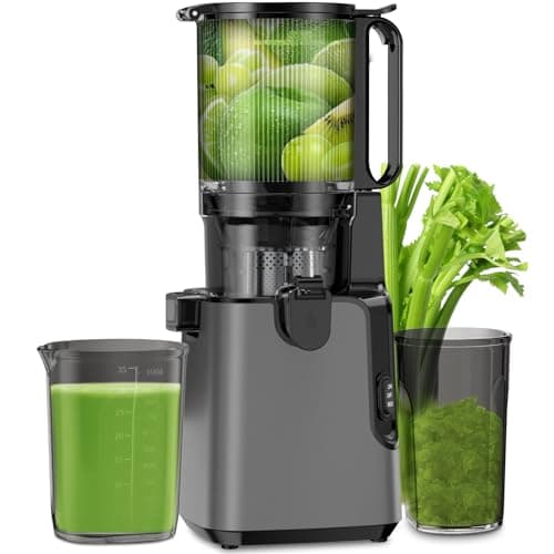 Cold Press Juicer, 6.1" Extra Large Feed Chute Juicer Machines for Whole Vegetables and Fruits, 350W Slow Masticating Juicer Machines Easy to Clean, High Juice Yield (Titanium Gray)